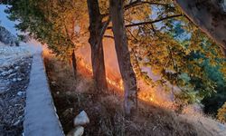 Erzincan’ın komşu ilçesinde yangın korkuttu!