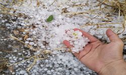 Erzincan’ın Tercan ilçesinde dolu yağışı görüldü