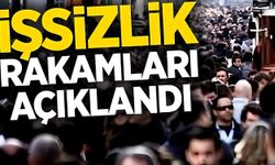 İşsizlik Rakamları Açıklandı! Erzincan Kaçıncı Sırada?