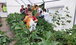 Erzincan’da “Okuldaki Çiftlik” Üretime Başladı!