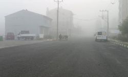 Şehri sis bastı