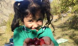 Erzincan’ın  doğal şifası: Şerbeti,çayı,meyvesi oluyor!