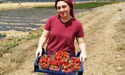 Ağustos'da Olur mu? Erzincan'da Olur!