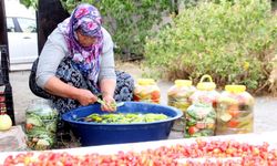 Erzincan'da kadınların turşu hazırlama mesaisi başladı