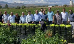 Erzincan tarım alanında Türkiye’de ilk üçe girebilir mi? Chat-GPT den ilginç yanıtlar