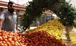 Erzincan’da alıç  tezgahlarda yerini aldı: Peki fiyatı ne kadar?