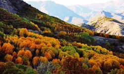 Erzincan’ın yanı başında doğa harikası köyün yolu yenileniyor