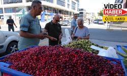 Kızılcık, ahlat ve alıç Erzincan’da çıktı. İşte fiyatları