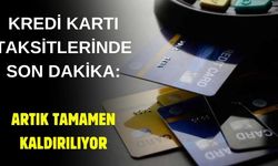 Kredi kartlarına artık taksit yapılmayacak