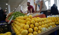 Erzincan’da limon fiyatları düşerken, bamya zam şampiyonu oldu