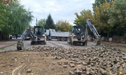 Erzincan'da o beldeye giden yol asfaltlanıyor