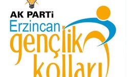 AK Parti Erzincan İl Gençlik Kolları Başkanlığına yeni atama