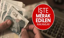 2025 Zam Beklentileri: Emekli, Memur ve Asgari Ücrette Artış Gündemde