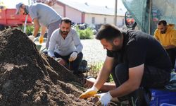 Erzincan kış sonrasında rengarenk olacak