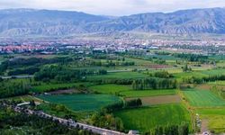 Erzincan'a girdim ne güzel bağlar..