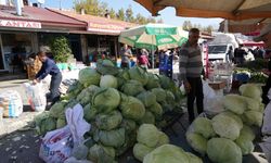 Erzincan'da kışın vazgeçilmezi lahanalar tezgahları süslüyor