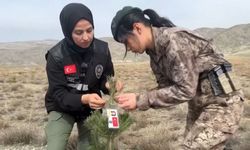 Erzincan’da 17 Şehit Kadın Polisin hatıraları yaşatılacak