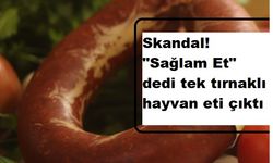 Skandal! "Sağlam Et" dedi tek tırnaklı hayvan eti çıktı