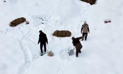 Erzincan’da karla kaplı dağlara yaban hayvanları için yem desteği