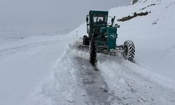 DSİ'nin yeşil karıncaları Erzincan'da...