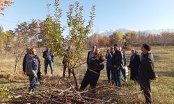 Erzincan'da bu fırsat kaçmaz...