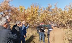 Erzincan’da Meyvecilikte Budama Eğitimi Fırsatı