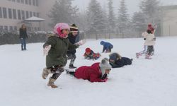 Erzincan'da olumsuz hava sürüyor, tatil edilen ilçe sayısı 3'e çıktı...