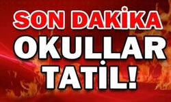 Son dakika... Erzincan il genelinde okullar tatil edildi.....