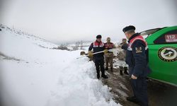 Tavuklara saldıran Vaşağa Erzincan Jandarmasından Şefkât...