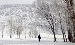 Meteoroloji Erzincan'ı uyardı: Kar ve çığa dikkat!