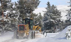 Erzincan-Malatya Karayolunda Kar Yağışı ve Çığ Tehlikesi