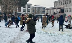 Erzincan'da kar yağışı çocukları şenlendirdi