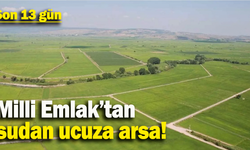 Erzincan'da Milli Emlak'tan sudan ucuz arsa...