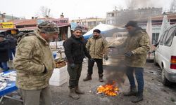 Erzincan'da Pazarcılar Soğukla Mücadele İçin Soba ve Ateşe Sarıldı