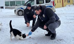 Refahiye emniyeti patili dostlarımızı unutmadı