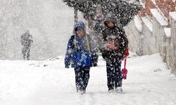 Erzincan'da yoğun kardan dolayı 3 ilçede bugün okullar tatil...