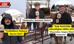 Erzincan’da Şap Hastalığı Besicileri İsyan Ettirdi