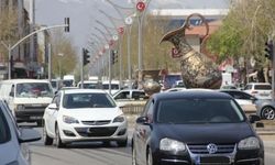 Erzincan’da vatandaşlardan neden fark alınıyor?