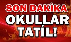 Son Dakika.. Erzincan'da okullar tatil edildi