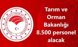 Tarım ve Orman Bakanlığı 8.500 personel alacak