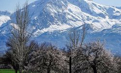 Erzincan'da bayramda hava nasıl olacak?