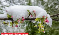Erzincan ve çevre illere meteoroloji inanılmayacak uyarı yaptı