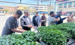 Başkan Aksun, genç üreticilerle fide etkinliğinde bir araya geldi