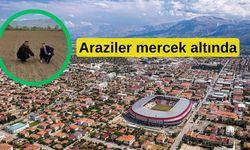 Erzincan’da üreticiler takip ediliyor