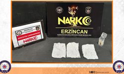 Erzincan'da polisten bonzai operasyonu...