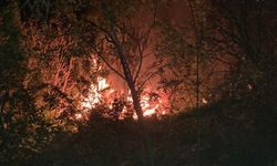 Erzincan'da ev yangınında korkulu anlar..