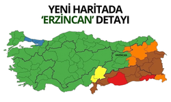 Erzincan yeşile büründü...