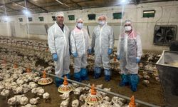 Erzincan hem iç hem de dış pazarlar için üretiyor…