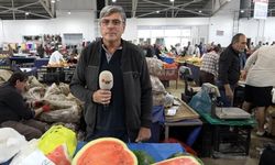 Erzincan Cumartesi Pazarında karpuzlar boy gösterdi!