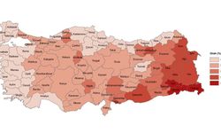 Erzincan'da genç nüfus oranı düşüyor